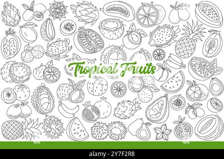 Frutti tropicali che crescono su palme esotiche nel clima caldo delle isole meridionali. Agrumi tropicali e litchi o ananas vicino a kiwi e banane con melograno dolce. Disegnato a mano. Illustrazione Vettoriale