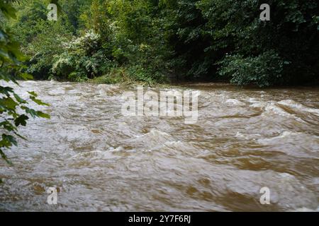 DATA RECORD NON DICHIARATA Ostsachsen - Dauerregen sorgt für weitersteigende Pegel 16.09.2024 Neukirch/Lausitz, Schirgiswalde-Kirschau, Bautzen Spree/Stausee Fotograf: LausitzNews.de Aufgrund der anhaltenden Regenfälle steigen die Pegel der Wesenitz in Neukirch/Lausitz und Spree weiter rasch an. Halten die Regenfälle weiterhin an, so kann es morgen schon zu einer weiteren Erhöhung der Alarmstufe kommen. Die aktuellen Pegelstände: Neukirch/Lausitz - Wesenitz: 115 cm / 6,79 m3/s Alarmstufe 1 überschritten Schirgiswalde - Spree: 256 cm / 15,1 m3/s Alarmstufe 2 erreicht Bautzen - Sprea: 207 cm/ 24 m3/s, Foto Stock