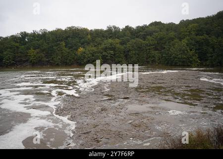 DATA RECORD NON DICHIARATA Ostsachsen - Dauerregen sorgt für weitersteigende Pegel 16.09.2024 Neukirch/Lausitz, Schirgiswalde-Kirschau, Bautzen Spree/Stausee Fotograf: LausitzNews.de Aufgrund der anhaltenden Regenfälle steigen die Pegel der Wesenitz in Neukirch/Lausitz und Spree weiter rasch an. Halten die Regenfälle weiterhin an, so kann es morgen schon zu einer weiteren Erhöhung der Alarmstufe kommen. Die aktuellen Pegelstände: Neukirch/Lausitz - Wesenitz: 115 cm / 6,79 m3/s Alarmstufe 1 überschritten Schirgiswalde - Spree: 256 cm / 15,1 m3/s Alarmstufe 2 erreicht Bautzen - Sprea: 207 cm/ 24 m3/s, Foto Stock