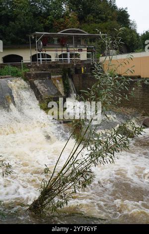 DATA RECORD NON DICHIARATA Ostsachsen - Dauerregen sorgt für weitersteigende Pegel 16.09.2024 Neukirch/Lausitz, Schirgiswalde-Kirschau, Bautzen Spree/Stausee Fotograf: LausitzNews.de Aufgrund der anhaltenden Regenfälle steigen die Pegel der Wesenitz in Neukirch/Lausitz und Spree weiter rasch an. Halten die Regenfälle weiterhin an, so kann es morgen schon zu einer weiteren Erhöhung der Alarmstufe kommen. Die aktuellen Pegelstände: Neukirch/Lausitz - Wesenitz: 115 cm / 6,79 m3/s Alarmstufe 1 überschritten Schirgiswalde - Spree: 256 cm / 15,1 m3/s Alarmstufe 2 erreicht Bautzen - Sprea: 207 cm/ 24 m3/s, Foto Stock