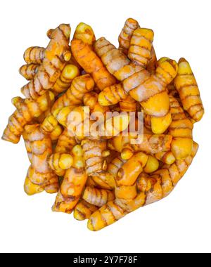 Radici di curcuma gialle isolate su sfondo bianco Foto Stock