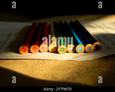 Allineato matite colorate per School in the Evening Sunshine Foto Stock