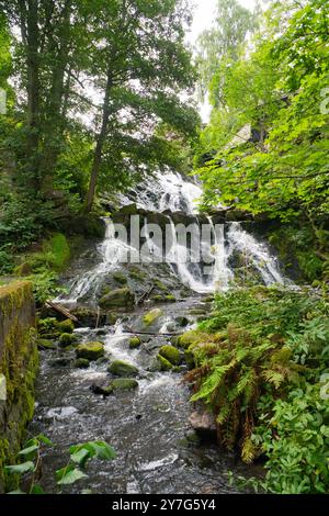 Piccolo fiume in Svezia con diverse piccole cascate. Pietre coperte di muschio. Foresta sulla riva. Natura scandinava Foto Stock