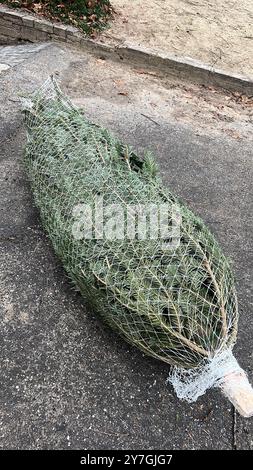 Alberi di Natale in vendita. Impilati in pacchetti alti nei dettagli del parcheggio del magazzino. Abete rosso confezionato in rete Foto Stock