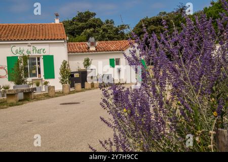 faro di baleina in ars en ré a charente maritime in francia Foto Stock