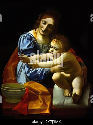 Madonna col bambino del 1495–1496 Giovanni Antonio Boltraffio 1495–1496, XV-XVI secolo, Milano, Italia. Foto Stock