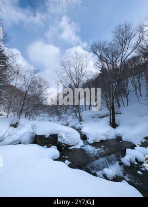 Piccolo fiume che scorre attraverso una foresta innevata in un giorno d'inverno Foto Stock