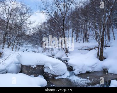 Piccolo fiume che scorre attraverso una foresta innevata in un giorno d'inverno Foto Stock