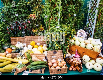 Una mostra vincente di frutta e verdura al Malvern Autumn Show 2024. Foto Stock