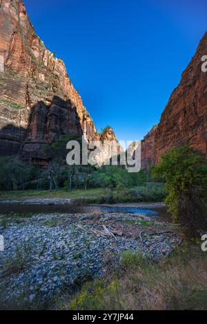 Una foto verticale grandangolare di un Canyon nel Parco Nazionale di Zion, dove scorre il Virgin River. Foto Stock