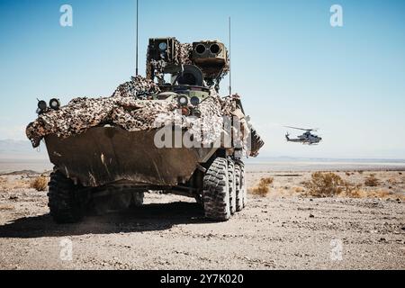 Twentynine Palms, California, Stati Uniti. 29 agosto 2024. Un veicolo corazzato leggero del corpo dei Marines degli Stati Uniti con il 3rd Light Armored Reconnaissance Battalion, 1st Marine Division, difende una posizione durante un'esercitazione di pronto combattimento del corpo dei Marines presso Training area Nobles Pass, Marine Corps Air-Ground Combat Center, Twentynine Palms, California, 29 agosto 2024. Lo scopo di un MCCRE è di valutare formalmente i compiti principali e assegnati alle unità al fine di garantire la standardizzazione e la preparazione al combattimento. (Immagine di credito: © Richard Garcia/U.S. Marines/ZUMA Press Wire) SOLO PER USO EDITORIALE! Non per USO commerciale! Foto Stock