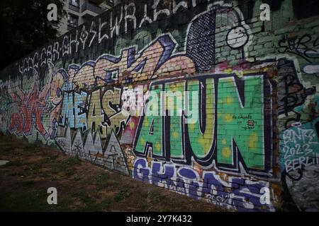 Graffiti raffiguranti questioni politiche, ambientali e sociali viste sul muro di Berlino costruito dai tedeschi dell'Est nel 1961 per circondare Berlino Ovest. Foto Stock