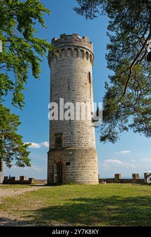 Torre Luisenturm vicino a Grosskochberg in turingia Foto Stock