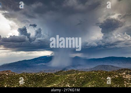 Piove nelle Catalina Mountains, Arizona meridionale Foto Stock