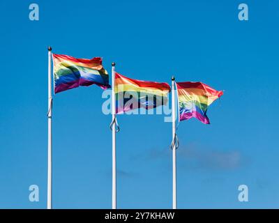 Terza iterazione della bandiera arcobaleno di Gilbert Baker. Foto Stock