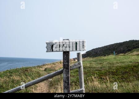 Indicazioni stradali in legno per il sentiero a Pouch Cove, Terranova e Labrador, Canada Foto Stock