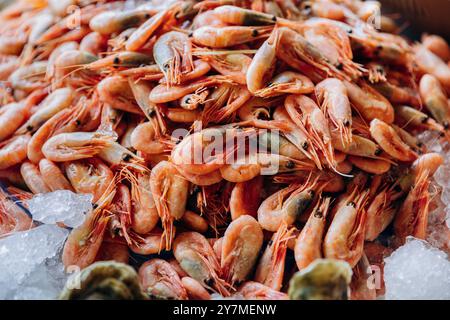 Gamberi freschi su ghiaccio, perfetti per i mercati di pesce, le fotografie gastronomiche o le presentazioni culinarie Foto Stock