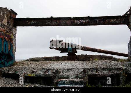 Cannone alla batteria abbandonata della seconda guerra mondiale a Fort Amherst a St. John's, Newfoundland & Labrador, Canada Foto Stock