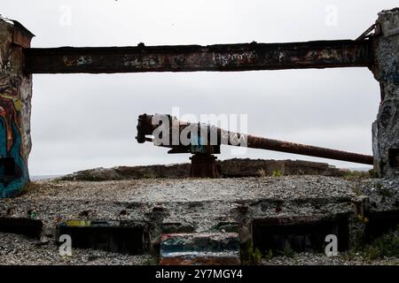 Cannone alla batteria abbandonata della seconda guerra mondiale a Fort Amherst a St. John's, Newfoundland & Labrador, Canada Foto Stock