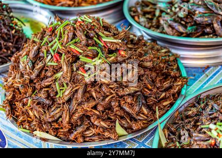 Locuste fritte e vari insetti commestibili in vendita al mercato di Skun, vicino a Phnom Penh, Cambogia Foto Stock