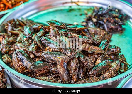 Locuste fritte in vendita al mercato di Skun, vicino a Phnom Penh, Cambogia Foto Stock