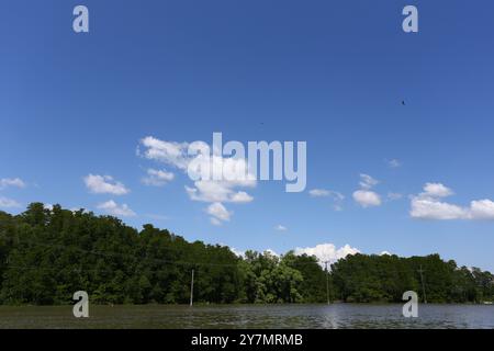 I pali elettrici sorgono in un canale salmastro pieno di lussureggianti foreste di mangrovie lungo la riva e un cielo con nuvole bianche sullo sfondo. Foto Stock