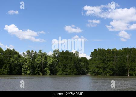 I pali elettrici sorgono in un canale salmastro pieno di lussureggianti foreste di mangrovie lungo la riva e un cielo con nuvole bianche sullo sfondo. Foto Stock