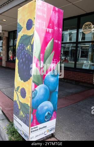 Murale Year of the Arts di frutti di bosco in Water Street nel centro di St. John's, Newfoundland & Labrador, Canada Foto Stock