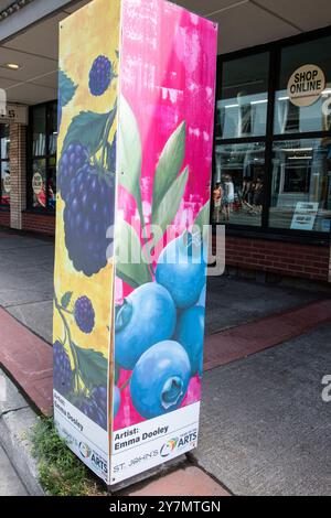 Murale Year of the Arts di frutti di bosco in Water Street nel centro di St. John's, Newfoundland & Labrador, Canada Foto Stock