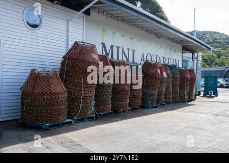 Trappole di granchio conservate al Mini Aquarium sulla Southside Road a Petty Harbour–Maddox Cove, Newfoundland & Labrador, Canada Foto Stock