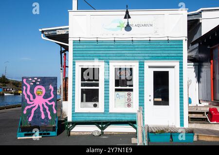 Mini Aquarium in Southside Road a Petty Harbour–Maddox Cove, Newfoundland & Labrador, Canada Foto Stock