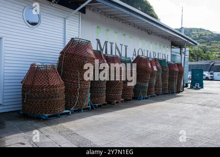 Trappole di granchio conservate al Mini Aquarium sulla Southside Road a Petty Harbour–Maddox Cove, Newfoundland & Labrador, Canada Foto Stock