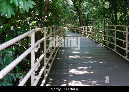 Sentieri per passeggiate attraverso la foresta pluviale nel Parco Nazionale Manuel Antonio in Costa Rica Foto Stock