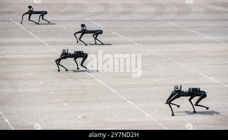 Seongnam, Corea del Sud. 25 settembre 2024. I robot quadrupli della Corea del Sud visti durante il 76° anniversario della giornata pre-mediatica delle forze armate alla Seoul Air Force base. La giornata delle forze armate in Corea del Sud è un evento annuale solitamente celebrato il 1° ottobre per commemorare il servizio di uomini e donne nelle forze armate della Repubblica di Corea. Il giorno in cui le forze sudcoreane ruppero il 38° parallelo nel 1950 durante la guerra di Corea. (Credit Image: © Kim Jae-Hwan/SOPA Images via ZUMA Press Wire) SOLO PER USO EDITORIALE! Non per USO commerciale! Foto Stock