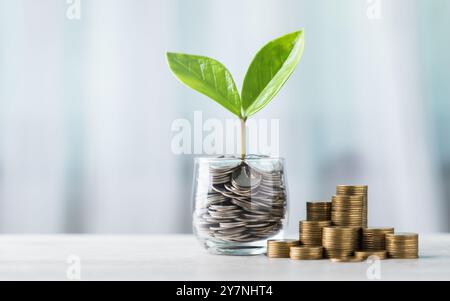 Vaso di vetro pieno di monete e una piccola piantina al centro, con pile di monete disposte dal più piccolo al più grande su un tavolo. Evidenzia la conc Foto Stock