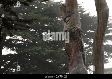 La figura di Gesù Cristo scolpita nel legno di un albero di cedro nella foresta dei Cedri di Dio in Libano. Foto Stock