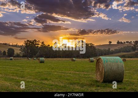 Il sole tramonta su un tranquillo paesaggio rurale, che diffonde calde sfumature attraverso il cielo, mentre le balle di fieno sono disposte in un lussureggiante campo verde, creando delle immagini Foto Stock