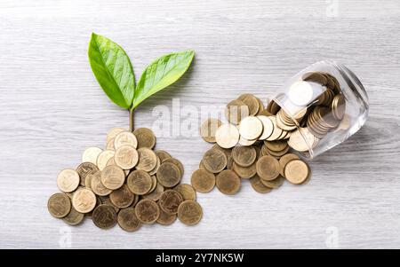 Vista dall'alto verso il basso di una pila di monete con una piccola pianta che cresce su di essa, posizionata su un tavolo grigio brillante, simboleggia la crescita finanziaria, gli investimenti e il potente Foto Stock