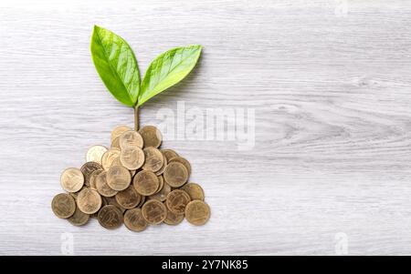 Vista dall'alto verso il basso di una pila di monete con una piccola pianta che cresce su di essa, posizionata su un tavolo grigio brillante, simboleggia la crescita finanziaria, gli investimenti e il potente Foto Stock