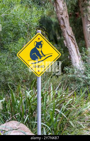 Un cartello giallo brillante mostra un koala, che avvisa i conducenti di un potenziale attraversamento. Il cartello e' circondato da vegetazione lussureggiante in un tranquillo sobborgo Foto Stock