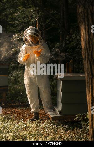 Apicoltore che lavora con le api mellifere, l'uomo ha fatto l'alveare Foto Stock