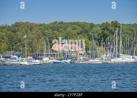 TSC Tegeler SEE-Club, molo delle barche, Große Malche, Tegeler SEE, Tegel, Reinickendorf, Berlino, Germania, Bootsanleger, Deutschland Foto Stock