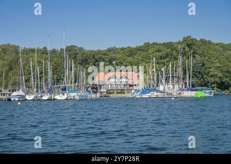 TSC Tegeler SEE-Club, molo delle barche, Große Malche, Tegeler SEE, Tegel, Reinickendorf, Berlino, Germania, Bootsanleger, Deutschland Foto Stock