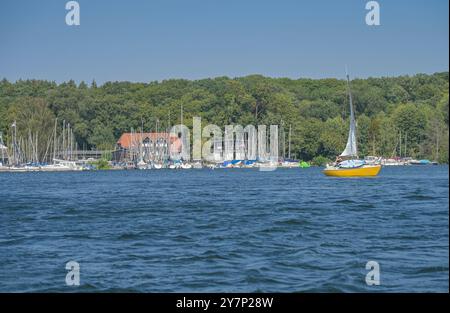 TSC Tegeler SEE-Club, molo delle barche, Große Malche, Tegeler SEE, Tegel, Reinickendorf, Berlino, Germania, Bootsanleger, Deutschland Foto Stock