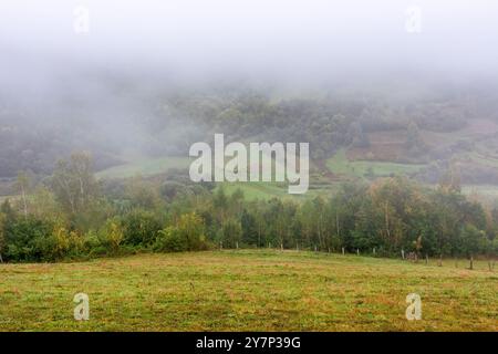 paesaggio rurale con campo sulla collina. il tempo di foggy. paesaggio di campagna montuosa in autunno. pendii boscosi. regione transcarpatica dell'ucraina i. Foto Stock