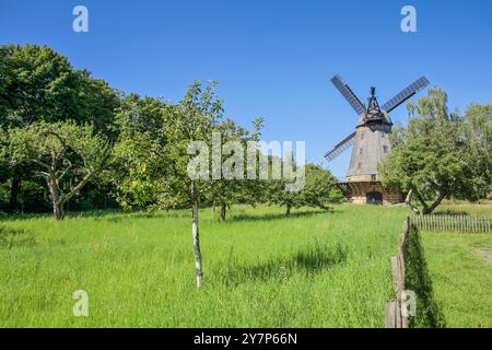 Britzer Mill, Buckower Damm, Britz, Neukölln, Berlino, Germania, Britzer Mühle, Deutschland Foto Stock
