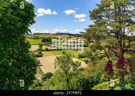 Vista estiva guardando attraverso la Torridge Valley verso la RHS Rosemoor e Beaford con Fields e Cloudy Sky, Great Torrington, Devon Foto Stock