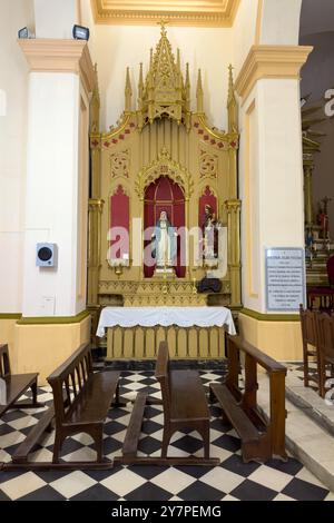 Un altare laterale e una pala d'altare nella Cattedrale di nostra Signora del Rosario a Cafayate, provincia di Salta, Argentina. Foto Stock