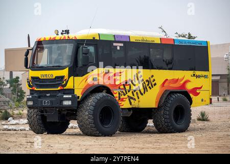 Tour avventura in autobus nel deserto, tour in autobus per viaggi nel deserto. Mare interno Qatar Foto Stock