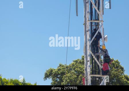 Tecnici di accesso alla fune che lavorano sulla torre della cella. Cielo blu sullo sfondo Foto Stock